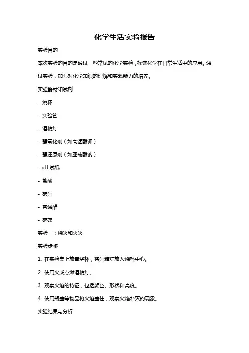 化学生活实验报告