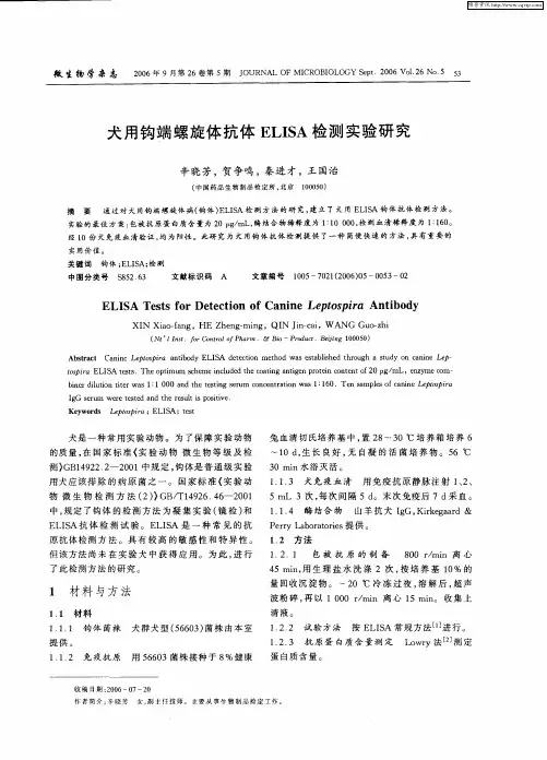 犬用钩端螺旋体抗体ELISA检测实验研究