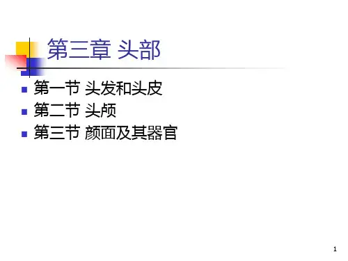 第二编体格检查第03章头部