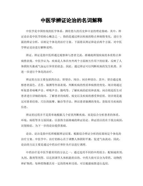中医学辨证论治的名词解释