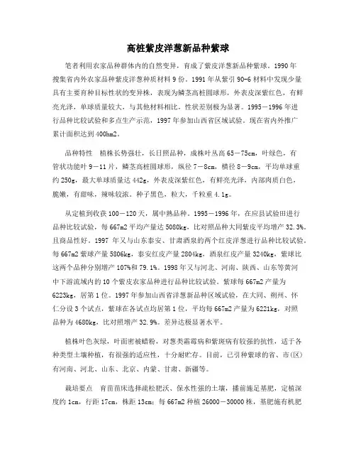 高桩紫皮洋葱新品种紫球