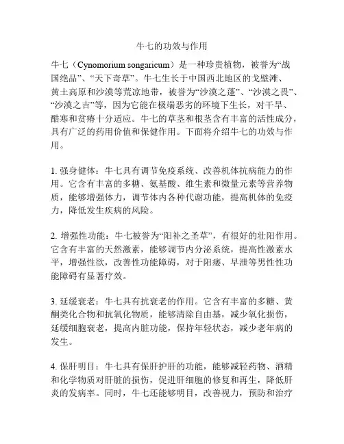 牛七的功效与作用