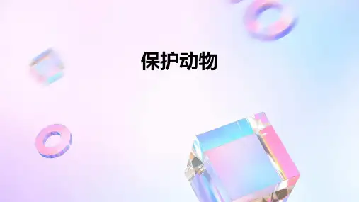 保护动物PPT