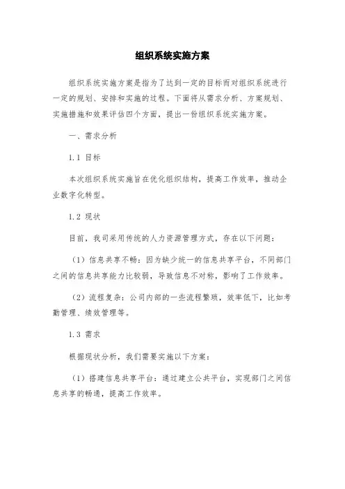 组织系统实施方案