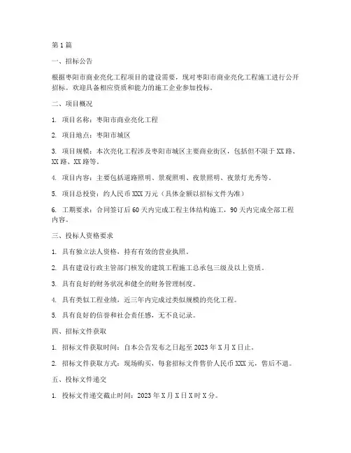 枣阳商业亮化施工招标(3篇)