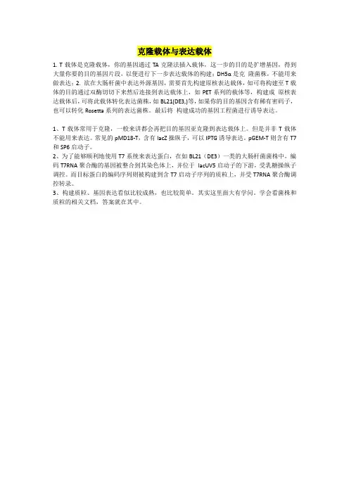 克隆载体与表达载体