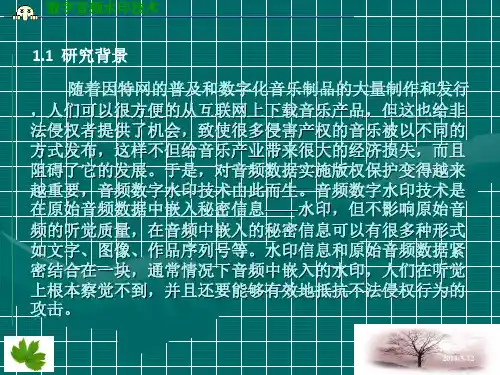 数字音频水印技术PPT课件