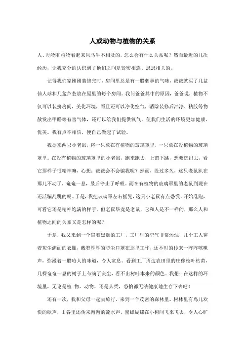 人或动物与植物的关系_小学五年级作文900字