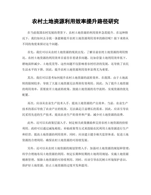 农村土地资源利用效率提升路径研究