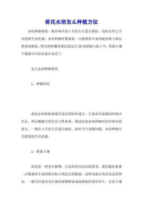 荷花水培怎么种植方法