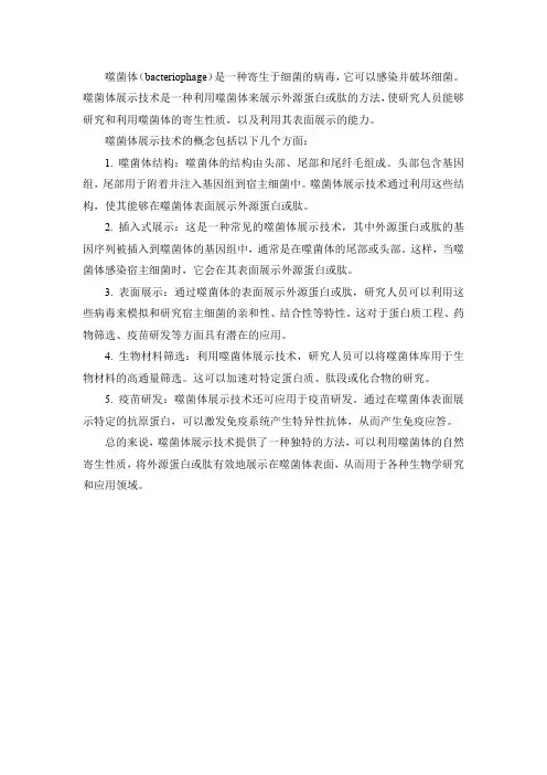 噬菌体展示技术的概念