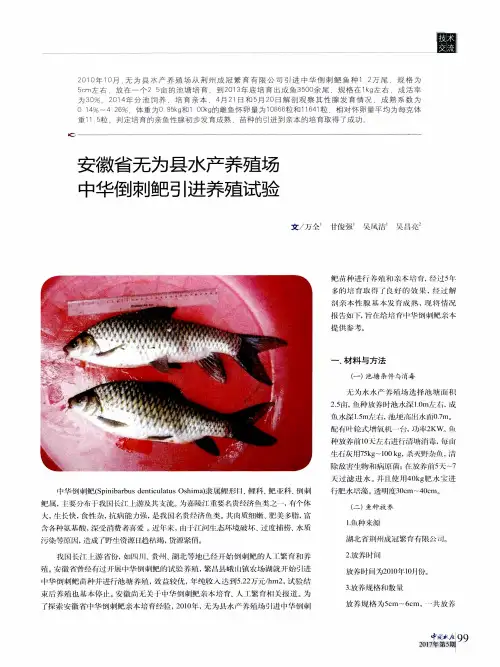 安徽省无为县水产养殖场 中华倒刺鲃引进养殖试验