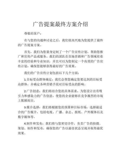 广告提案最终方案介绍
