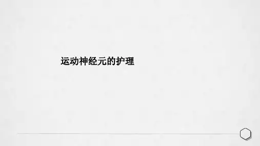 运动神经元的护理
