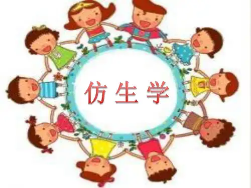 蛋壳与薄壳建筑