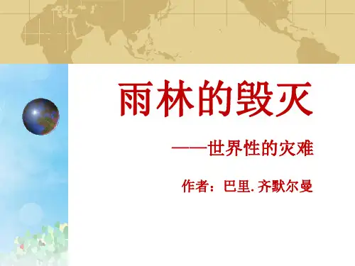《雨林的毁灭——世界性灾难》PPT2  图文