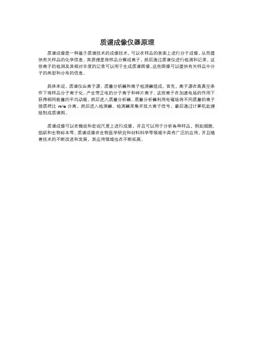 质谱成像仪器原理