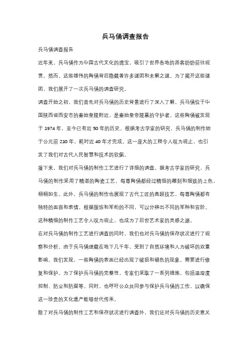 兵马俑调查报告
