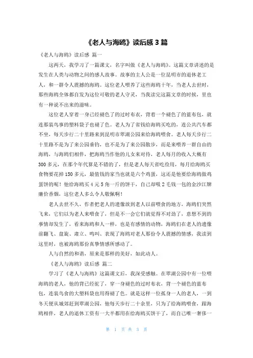 《老人与海鸥》读后感3篇