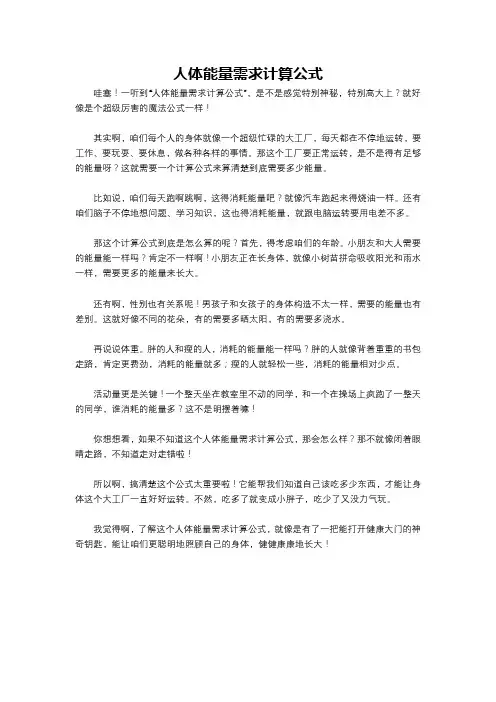 人体能量需求计算公式