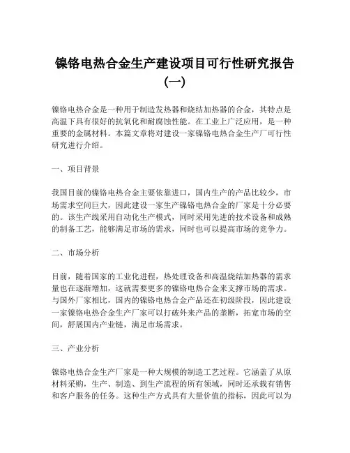 镍铬电热合金生产建设项目可行性研究报告 (一)
