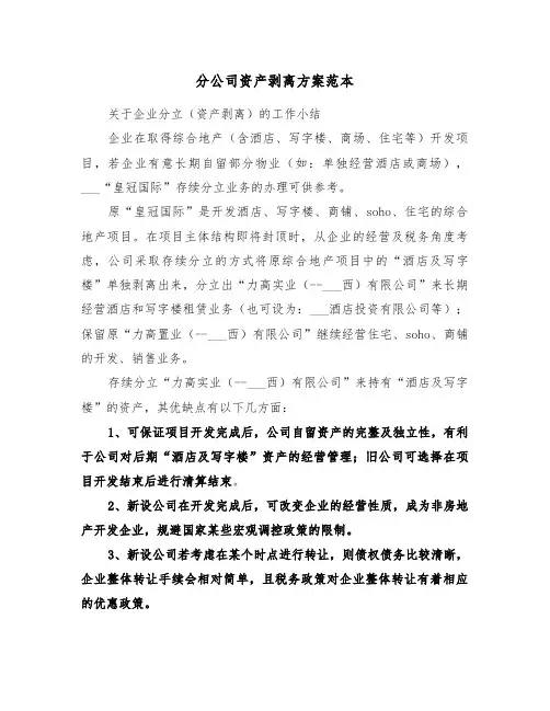 分公司资产剥离方案范本（二篇）