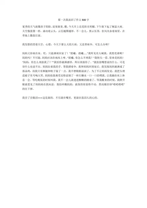 那一次我流泪了作文500字满分指导版