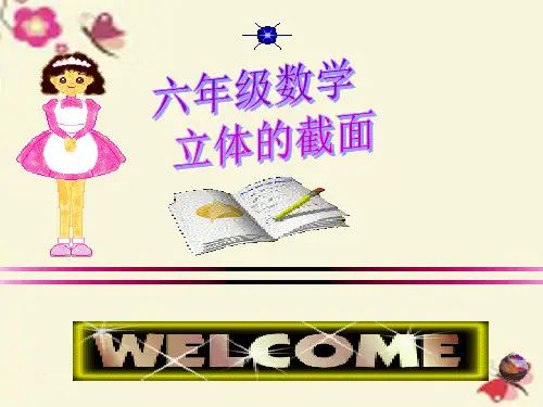 立体图形的截面