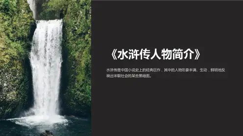 《水浒传人物简介》课件