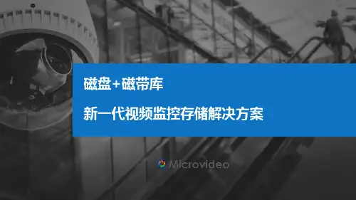 新一代视频存储解决方案-Microvideo