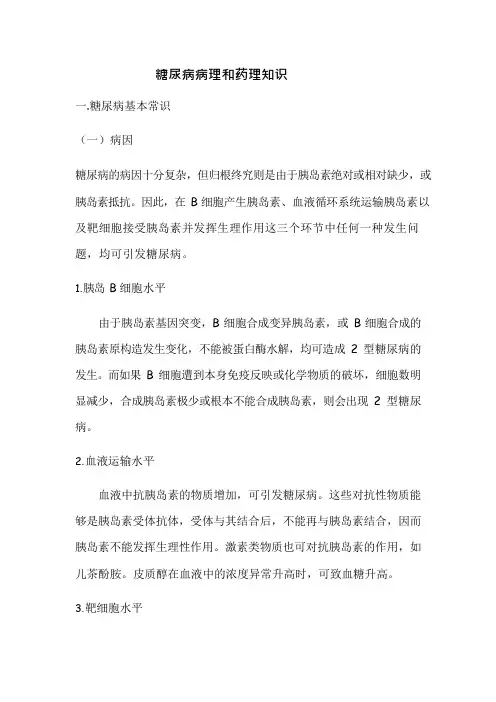 糖尿病病理和药理知识
