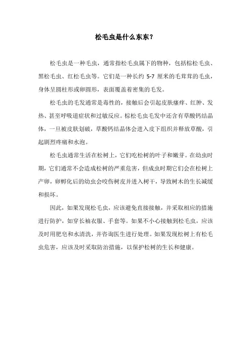松毛虫是什么东东