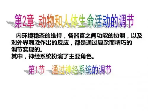 人教版高中生物必修3第2章第1节通过神经系统的调节 课件(共93张PPT)