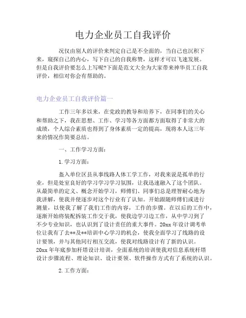 电力企业员工自我评价