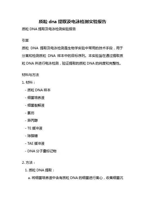 质粒dna提取及电泳检测实验报告