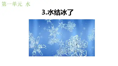 教科版三年级科学上册 水3 水结冰了课件