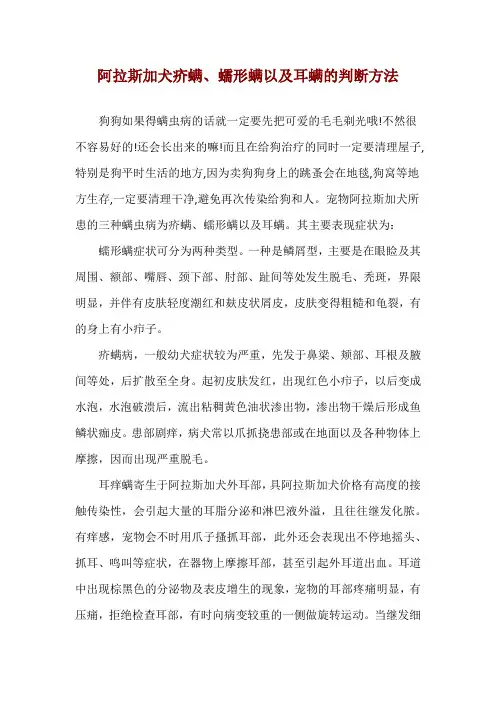 阿拉斯加犬疥螨、蠕形螨以及耳螨的判断方法