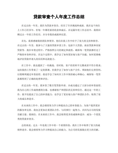 贷款审查个人年度工作总结