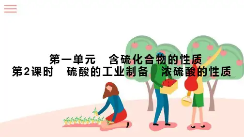 硫酸的工业制备浓硫酸的性质课件上学期高一化学苏教版
