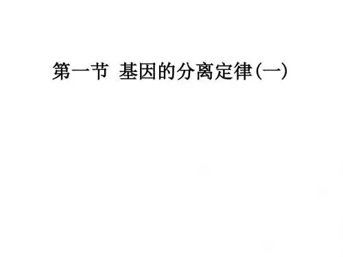 《3-1基因的分离定律》课件(共32张PPT)