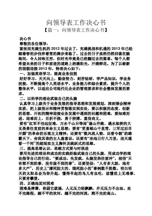 向领导表工作决心书