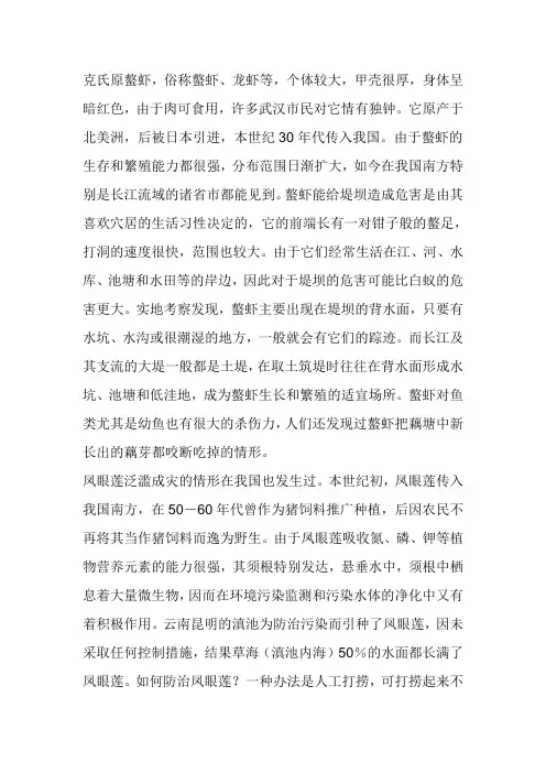 克氏原螯虾