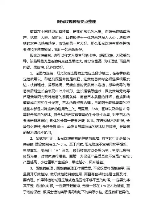 阳光玫瑰种植要点整理