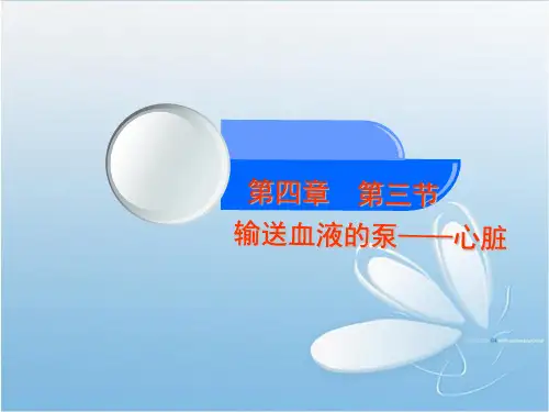 七年级生物  心脏ppt课件4