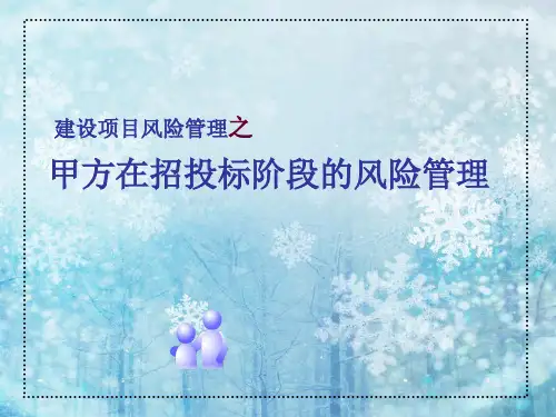 甲方在招投标阶段的风险管理