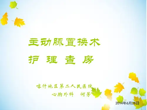 主动脉置换护理查房