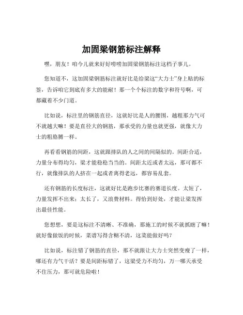 加固梁钢筋标注解释