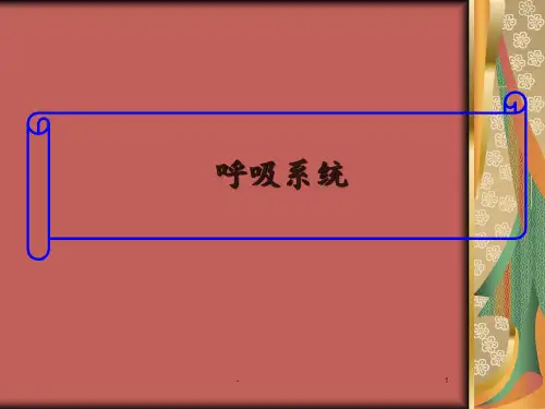 人体解剖生理学 呼吸系统PPT课件
