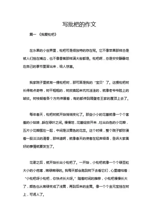写批杷的作文