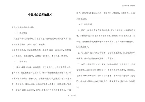 中药材白芷种植技术 